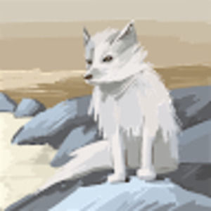 Meet your Posher, Stéphanie